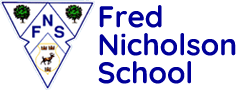 FNS Logo